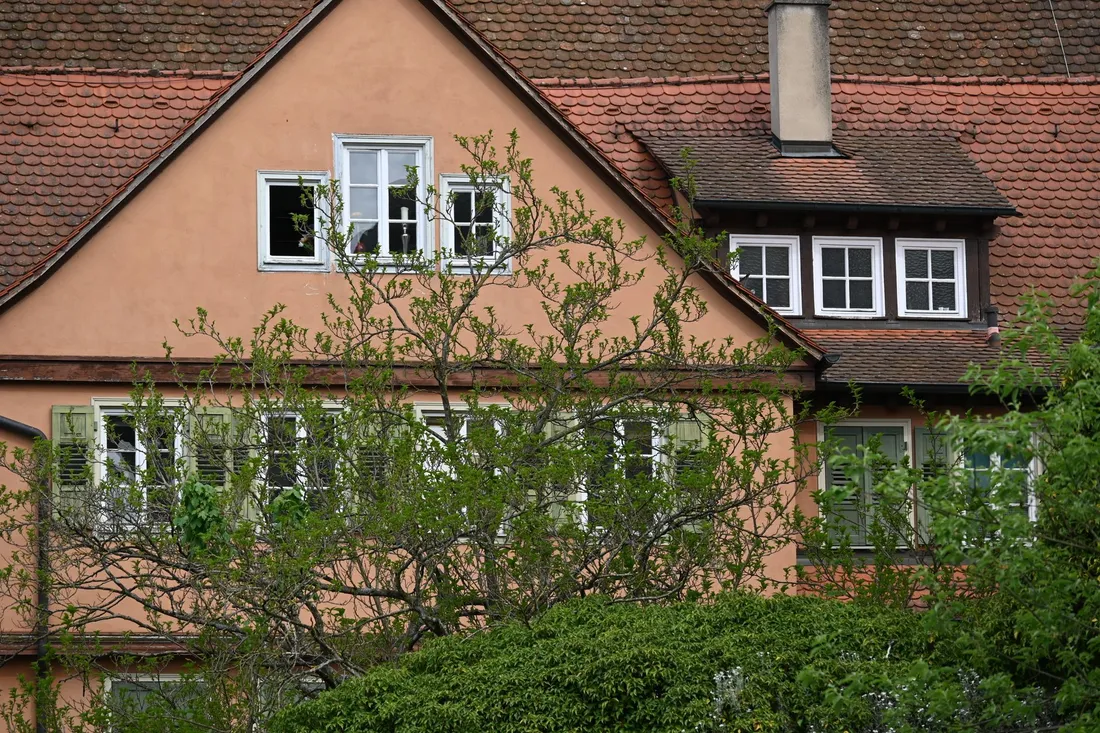 Berliner Wohnstraße mit Altbauten und altem Baumbestand